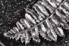 Церта-Патина, цвет серебро (0,5 кг) - Купить кованые элементы в Екатеринбурге по низкой цене, продажа и доставка кованых элементов интернет-магазином Индустриясервис.рф